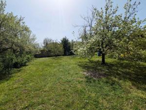 Apartment in Fonyod - Balaton 54325