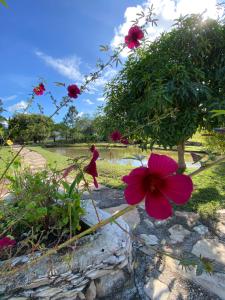 Pousada Serra Morena