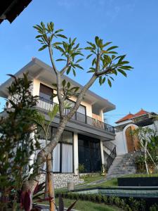 Ulu Apsura Villas