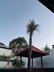 Ulu Apsura Villas