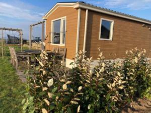Cottages in Friesland with Farm Experience