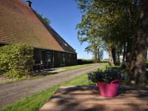 Apartment in Workum near IJsselmeer Beach