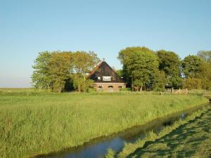 Apartment in Workum near IJsselmeer Beach