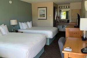 Queen Room with Two Queen Beds - Non-Smoking room in Old Town Inn