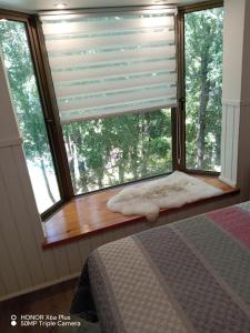 Departamento en Pucón