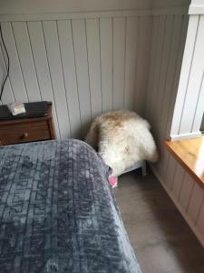 Departamento en Pucón