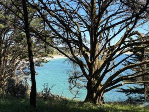 Appartements Duplex charmant au Port du Crouesty avec terrasse - FR-1-639-60 : photos des chambres