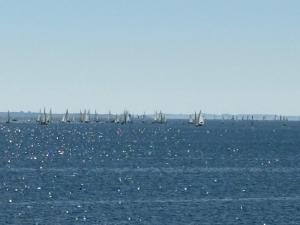 Appartements Duplex charmant au Port du Crouesty avec terrasse - FR-1-639-60 : photos des chambres