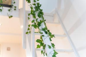 Sleeps 6 1 Bed With Loft 5mins to stations