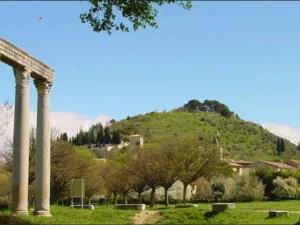 Maisons de vacances Villa provencale avec jardin et parking pour 4 personnes pres du centre de Riez - FR-1-822-17 : photos des chambres