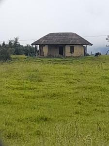 Hospedaje La Divisa