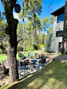 The best stay in the middle of the forest