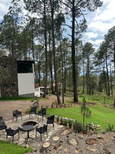 The best stay in the middle of the forest