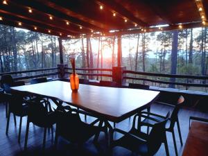 The best stay in the middle of the forest