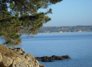 Appartements Panorama NewPort : photos des chambres