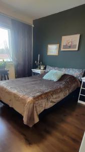 Mökki Luonnonrauhassa - Lemmikkiystävällinen