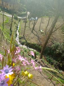 La finestra sulla valle
