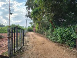 Auro life of tree x Soulscape Hut stays & Suites