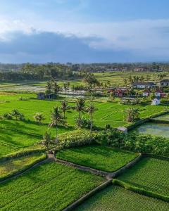 DITUJU Ubud by GenuineHost