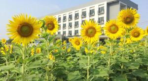 The Nest Hotel Phichit