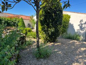 Appartements Petit lupin de l’estuaire : photos des chambres