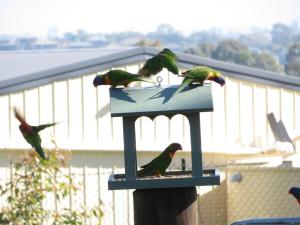 Mala Retreat Sleeps 7, Two Bedrooms & Ensuites