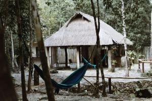 Chéel lodge & Camping