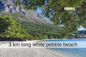 Marula Apartments - 5 min walk to beach, supermarkets, restaurants - balcony, parking & bicycles