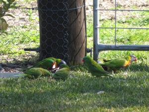 Mala Retreat, Shiraz Suite 5 Star Immaculate and Comfortable