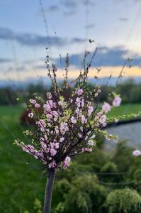 Zaczarowane Wzgórze - Domek w Beskidach