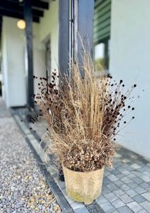 Zaczarowane Wzgórze - Domek w Beskidach