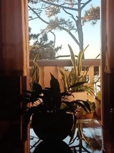 LKS Homestay, Jowai-By Soma Stays