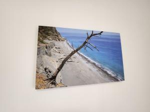 Tarra Rooms and Apartments