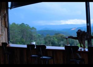 Rừng Phố Homestay And Coffee