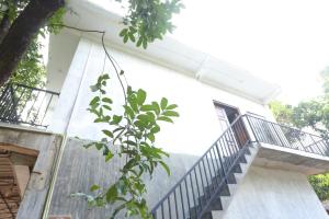 Hiru Holiday Home