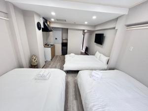 Y-Shinjuku City, Okubo 3F-SJ0069