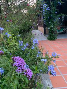 Romantic house 2 on a pine hill Dalat