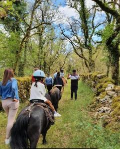 Maisons de vacances Gites sur Le Causse de St CHELS, charme sport et detente : photos des chambres