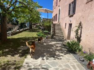 B&B / Chambres d'hotes Casa Rosa : photos des chambres