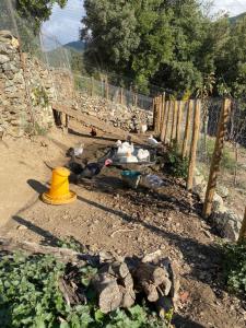 B&B / Chambres d'hotes Casa Rosa : photos des chambres