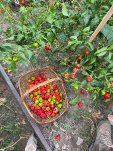 B&B / Chambres d'hotes Casa Rosa : photos des chambres