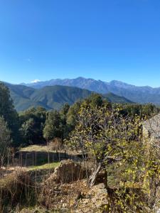 B&B / Chambres d'hotes Casa Rosa : photos des chambres