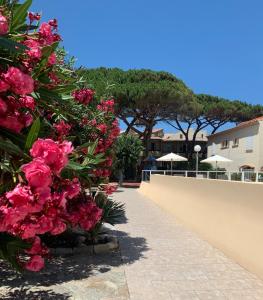 Hotels Hotel L'ondine : Chambre Double Supérieure