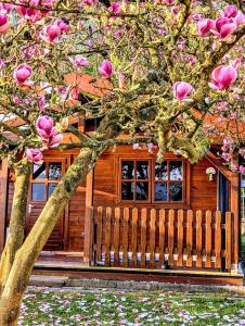 Ferienhaus am See Wutzsee mit direktem Seezugang