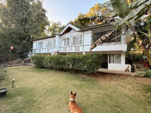 Cozyo Stays Boutique Home Umiam