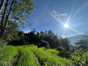Urban Escape Homestay