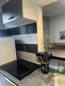 Appartements Le Vincent I Proche de la gare : photos des chambres