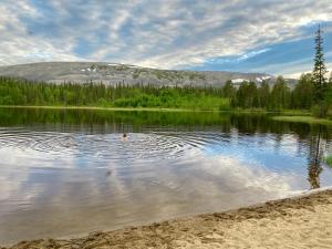 Luosto Villa by Lapland Villas, near Lake Aarnilampi Beach, Great Private Villa for Families & Outdoor Lovers, sauna, wifi