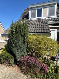 HÜBSCHES FERIENHAUS IN OUDDORP - fußläufig zum Strand und Zentrum