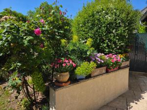 Maisons de vacances Clair logis : photos des chambres